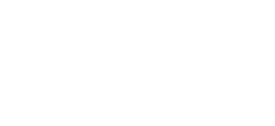 نیٹ پے partner logo